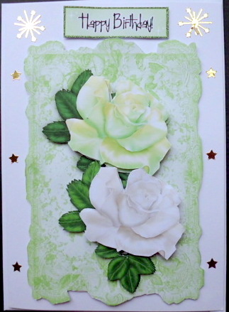 Pretty Green/white Roses on Lace by Mary Murphy