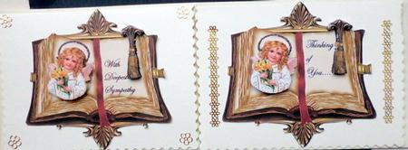 Book Sympathy by Mary Murphy
