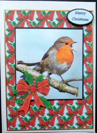 Xmas Robin by Mary Murphy