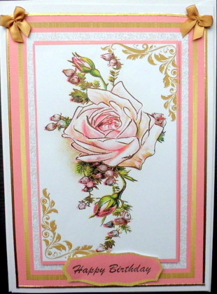 Beautiful Pale Pink Rose . by Mary Murphy