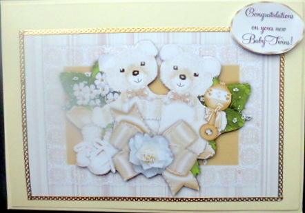 New Baby Twins by Mary Murphy