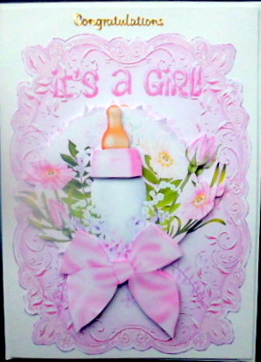 Baby Girls Pink Bottle with Flowers by Mary Murphy