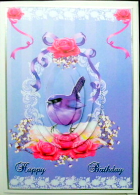 Pretty Bird by Mary Murphy