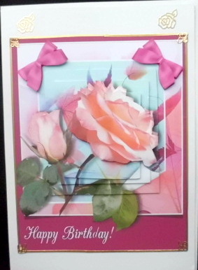 Happy Birthday Rose on Maroon by Mary Murphy