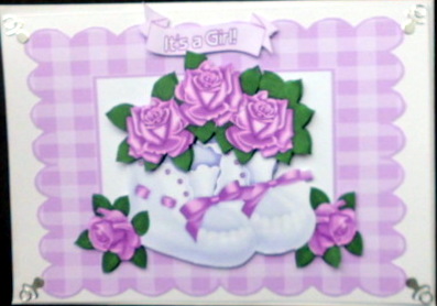 Baby Girl Shoes with Purple Roses by Mary Murphy