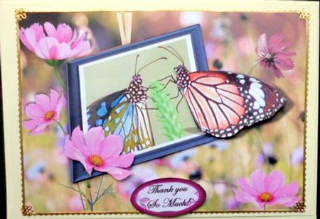 Butterfly Greetings by Mary Murphy
