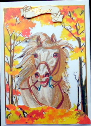 Beautiful White Horse in the Meadow by Mary Murphy