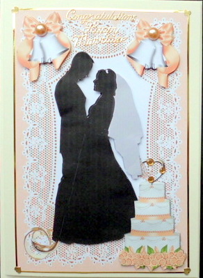 Silhouette of Wedding Couple with Cake by Mary Murphy