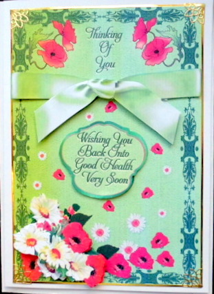 Poppies and Daisies by Mary Murphy