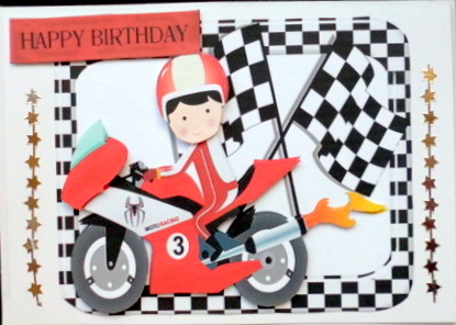 Motorcyclist in Red with Racer & Check Flags by Mary Murphy