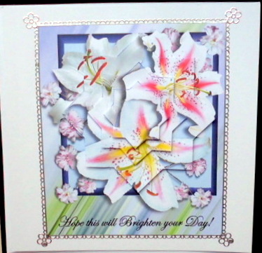 Star Lily by Mary Murphy