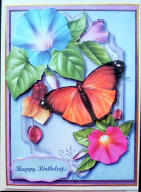 Gorgeous Butterfly and Morning Glory  by Mary Murphy