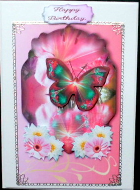 Butterfly Pink by Mary Murphy