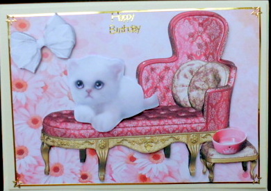 Princess White Fluffy Kitten on Chaise Lounge by Mary Murphy