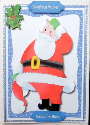 Now Where Did I Leave the Sleigh ? by Mary Murphy