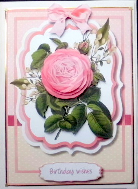 Beautiful Rose and Babys Breath by Mary Murphy
