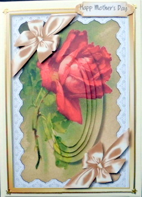 Lovely Red Rose on Battenburge Lace  by Mary Murphy
