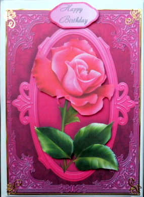 Beautiful Single Pink Rose by Mary Murphy