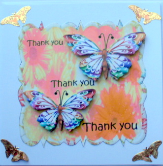 Butterfly by Mary Murphy