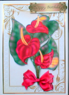 Pretty Exotic Anthuriam Flower with Bow in Ornate Frame by Mary Murphy