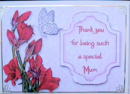 Special Mum by Mary Murphy