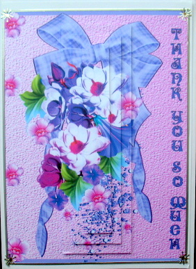 Thank You So Much by Mary Murphy