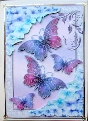 Pretty Chrysanthemums in Lilac/pink with Butterflies by Mary Murphy