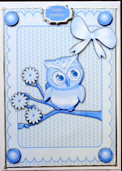 Blue Owl by Mary Murphy
