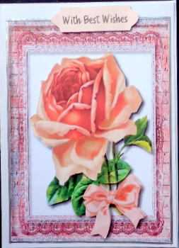 Beautiful Single Roses , Get Well Soon  by Mary Murphy