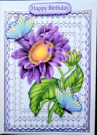 Pretty Purple Sunflower on Lace with Rainbow Butterflies by Mary Murphy