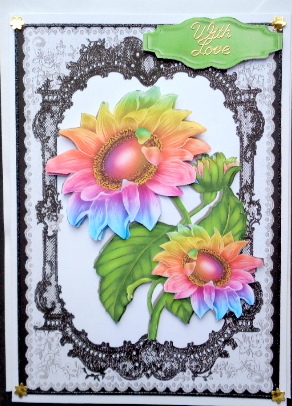 Pretty Rainbow Sunflowers in a Black Lace Frame by Mary Murphy