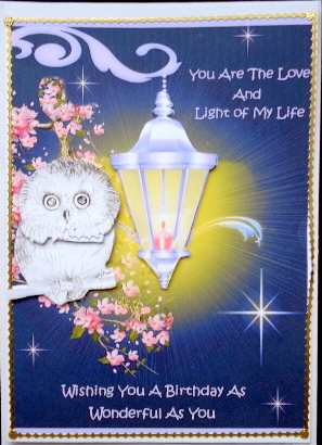 Light of My Life by Mary Murphy