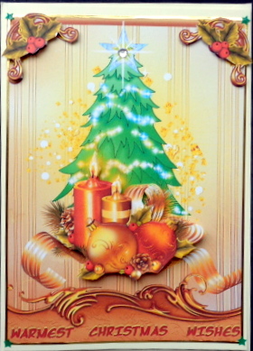 Warm Christmas Wishes by Mary Murphy