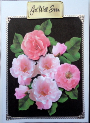 Sweet Pink Rose Greetings by Mary Murphy
