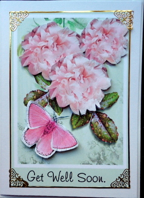 Get Well Pink Roses by Mary Murphy