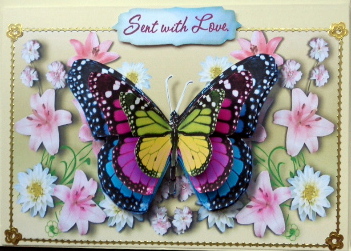 Beautiful Butterflies by Mary Murphy