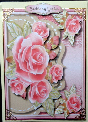 Beautiful Roses on a Envelpoe Frame  by Mary Murphy