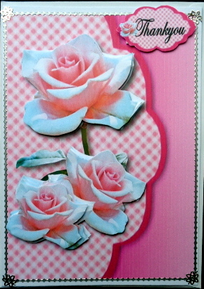 Thankyou Mum by Mary Murphy