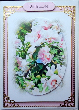 Floral Splendour - in the Pink Quick Topper by Mary Murphy