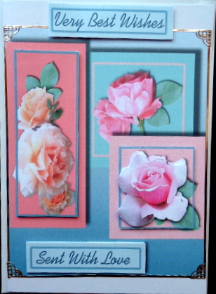 Roses Just for You by Mary Murphy