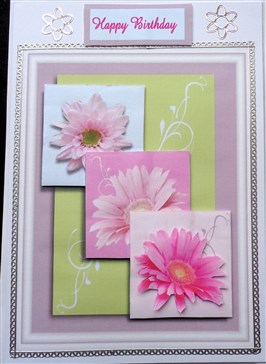 Daisies by Mary Murphy