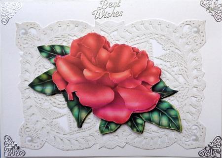 Pretty Red Rose on Vintage Lace with Pearls & Bow by Mary Murphy