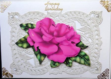 Pretty Pink Rose on Vintage Lace with Pearls & Bow by Mary Murphy