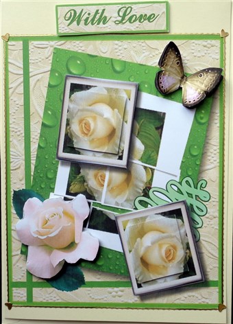 White Rose Greetings by Mary Murphy