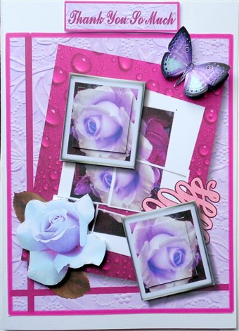 Purple Rose Greetings by Mary Murphy