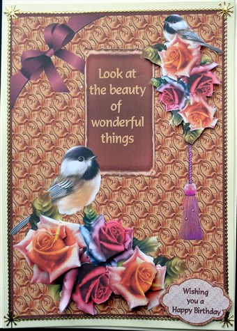 The Beauty of Wonderful Things by Mary Murphy