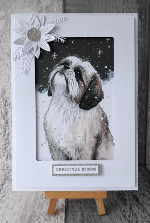 A Shih Tzu looking up at the snow by Mary Thomsen