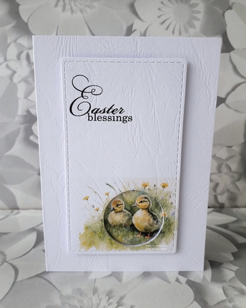 watercolour background of spring ducklings by Mary Thomsen