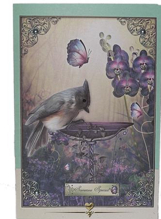 Morning Dew by Mary Jane Harris
