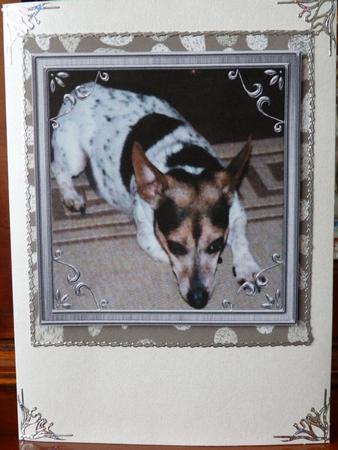 Alfie by Mary Tidbury
